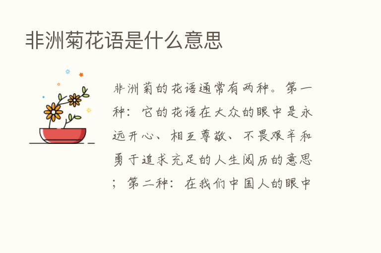 非洲菊花语是什么意思