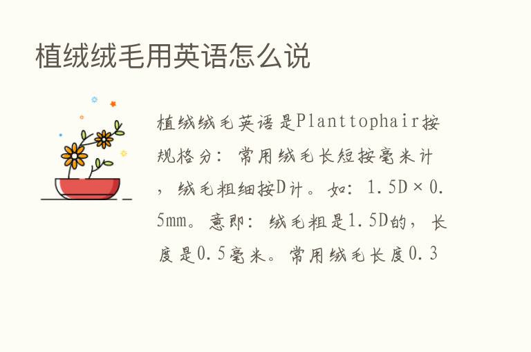 植绒绒毛用英语怎么说