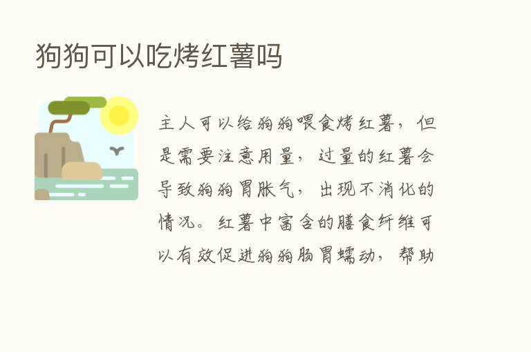 狗狗可以吃烤红薯吗