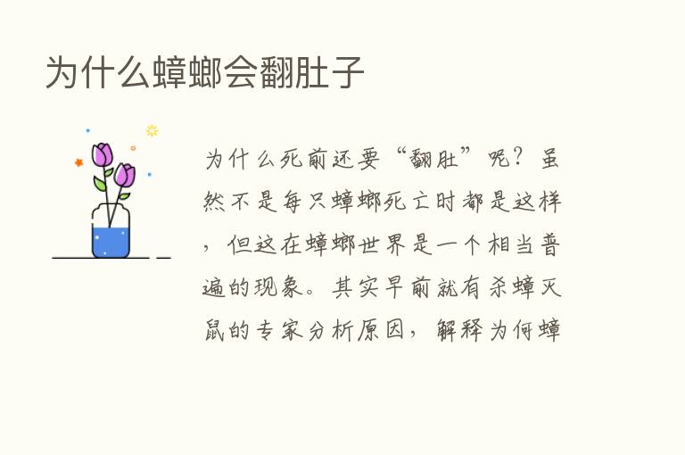 为什么蟑螂会翻肚子