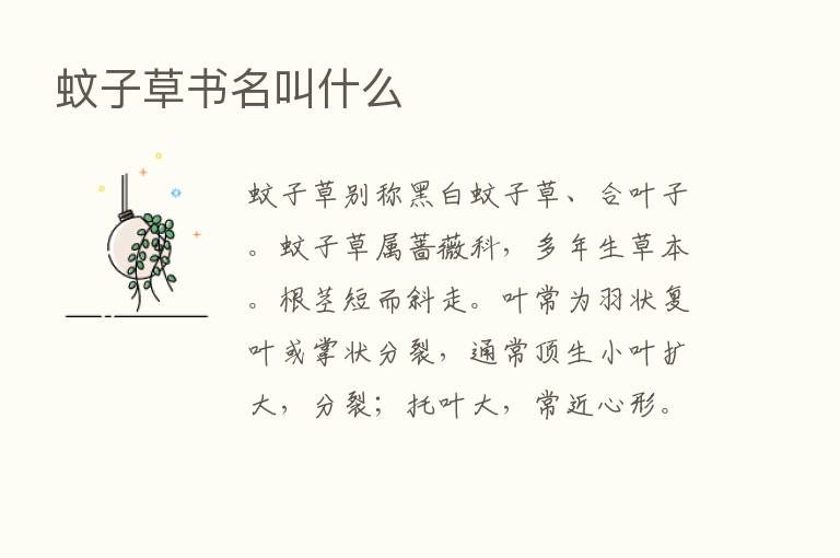 蚊子草书名叫什么