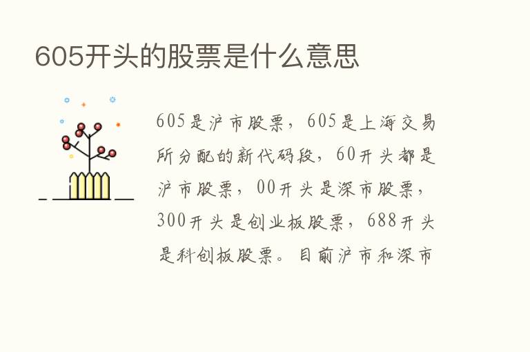 605开头的股票是什么意思