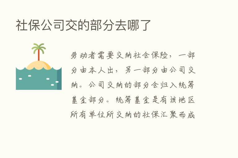 社保公司交的部分去哪了