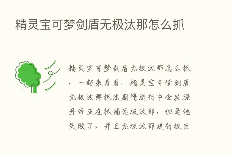 精灵宝可梦剑盾无极汰那怎么抓