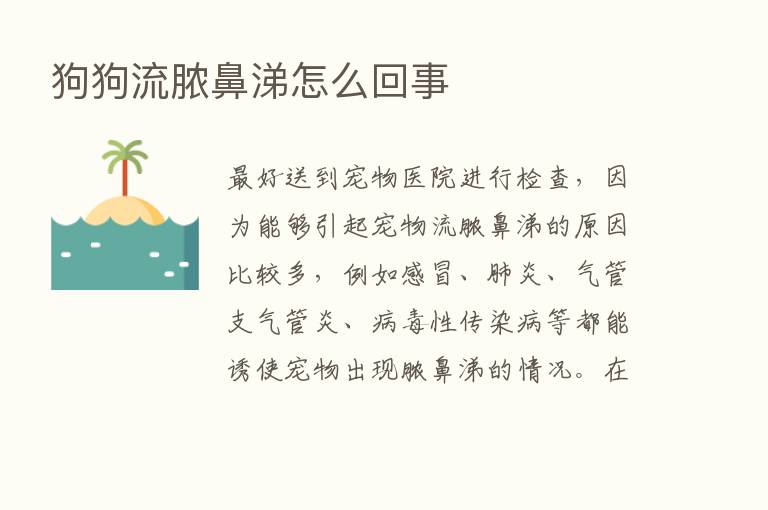 狗狗流脓鼻涕怎么回事