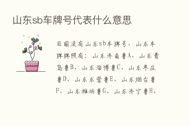 山东sb车牌号代表什么意思