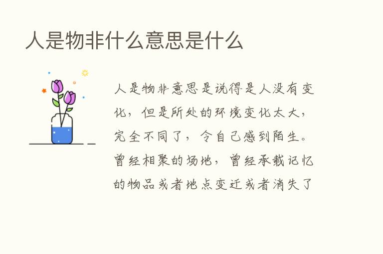 人是物非什么意思是什么