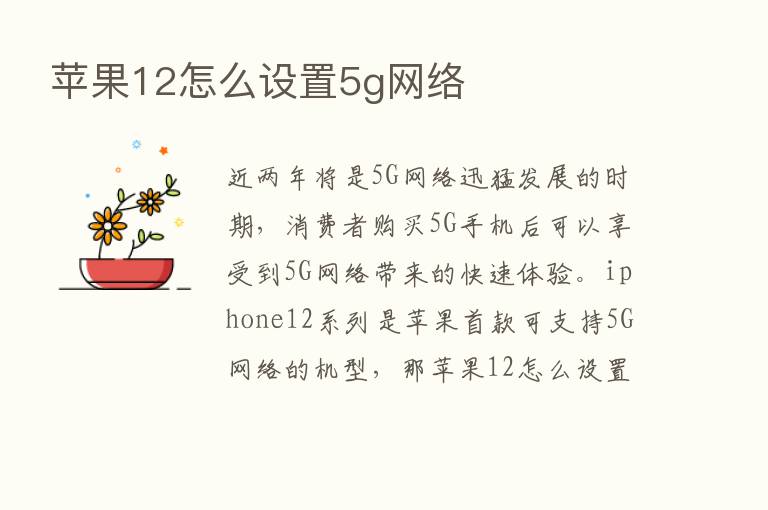 苹果12怎么设置5g网络