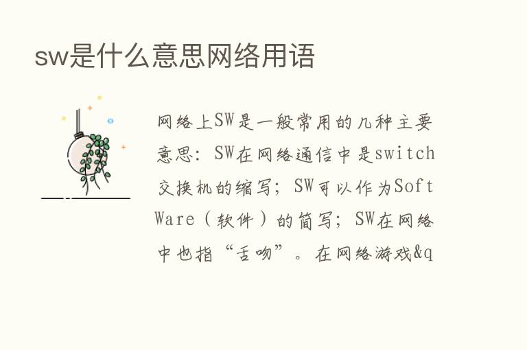 sw是什么意思网络用语