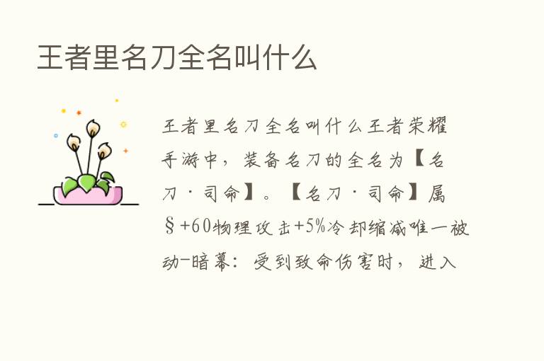 王者里名刀全名叫什么