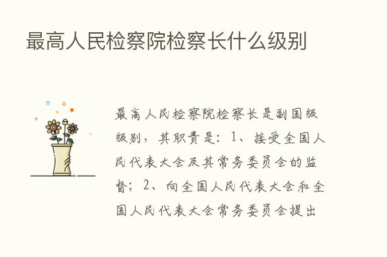    高人民检察院检察长什么级别