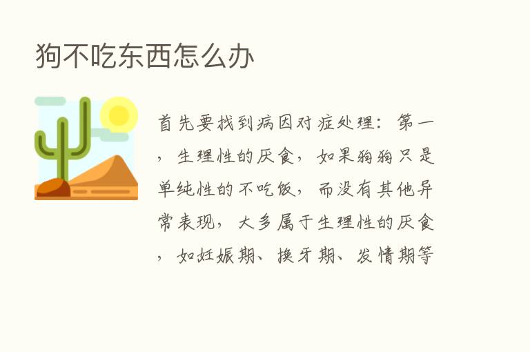 狗不吃东西怎么办