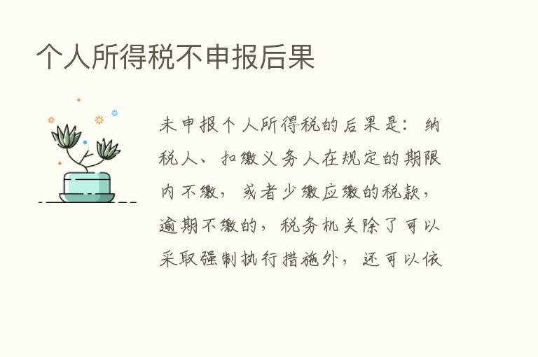 个人所得税不申报后果