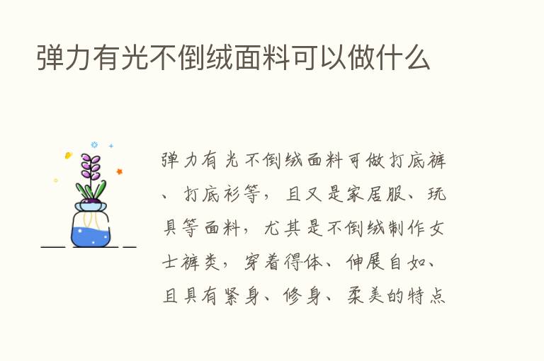 弹力有光不倒绒面料可以做什么