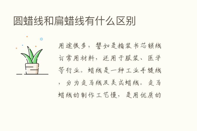 圆蜡线和扁蜡线有什么区别