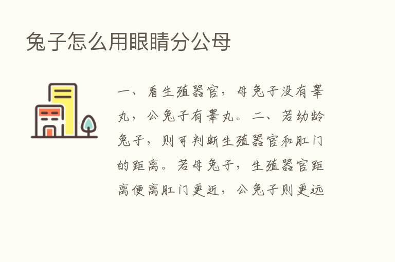 兔子怎么用眼睛分公母