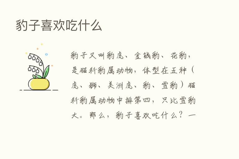 豹子喜欢吃什么