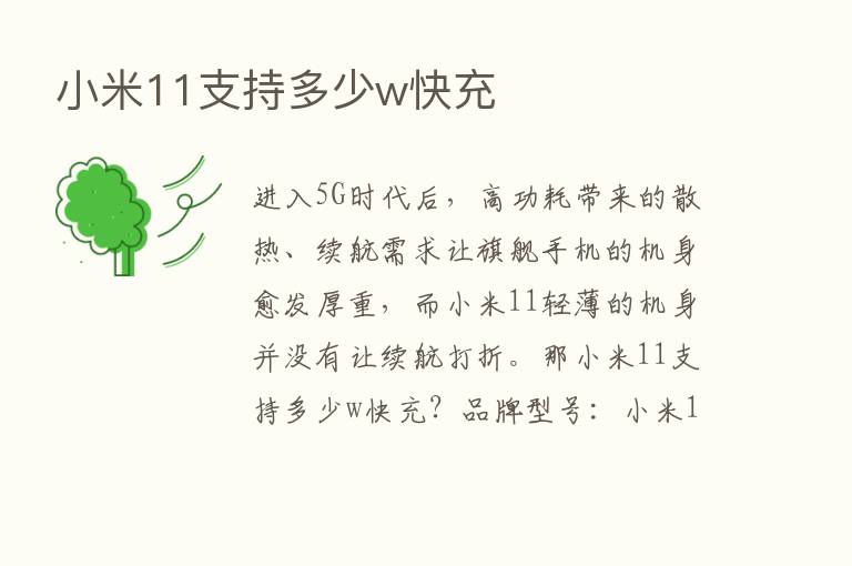 小米11支持多少w快充