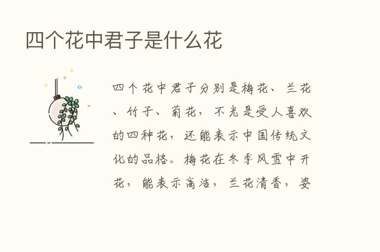 四个花中君子是什么花