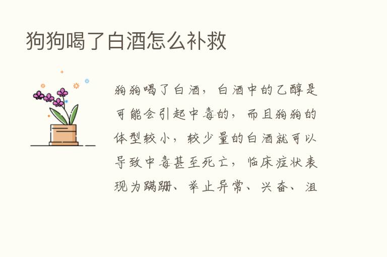 狗狗喝了白酒怎么补救