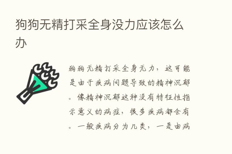 狗狗无精打采全身没力应该怎么办