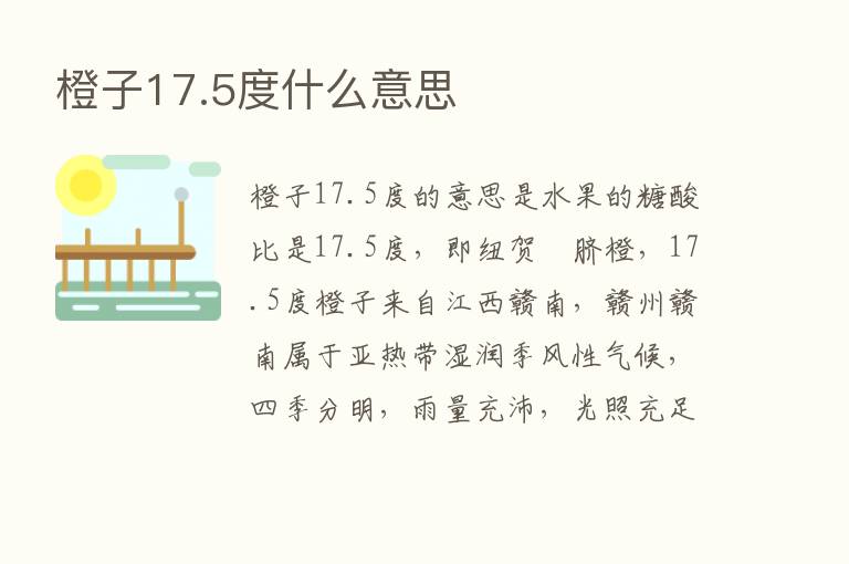 橙子17.5度什么意思