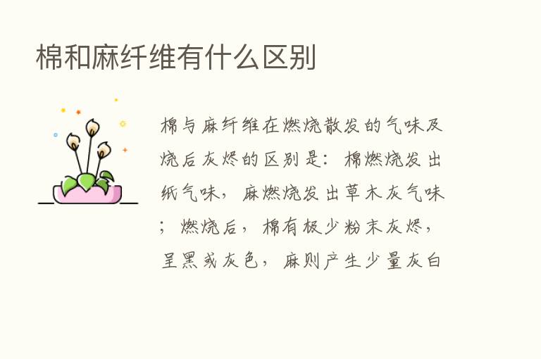 棉和麻纤维有什么区别