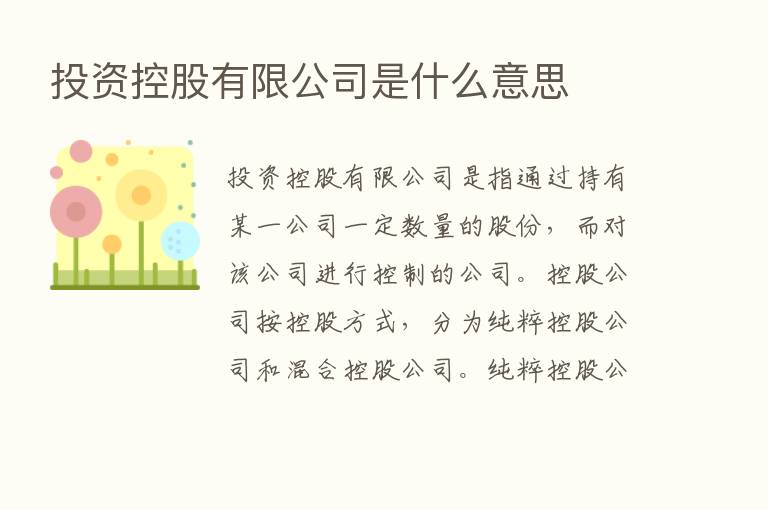 投资控股有限公司是什么意思