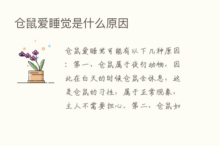 仓鼠爱睡觉是什么原因