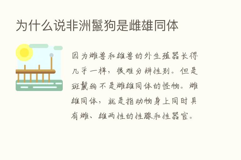 为什么说非洲鬣狗是雌雄同体