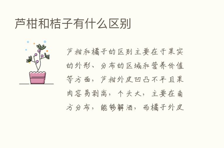 芦柑和桔子有什么区别