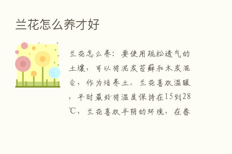 兰花怎么养才好