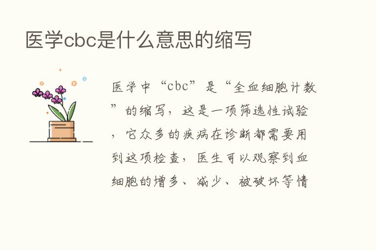 医学cbc是什么意思的缩写