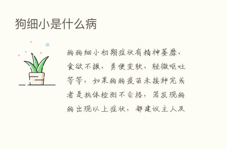 狗细小是什么病