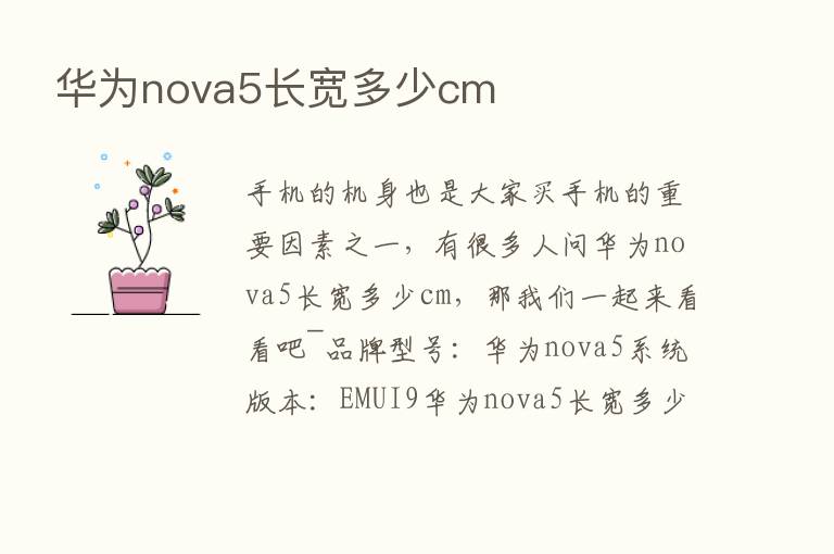 华为nova5长宽多少cm