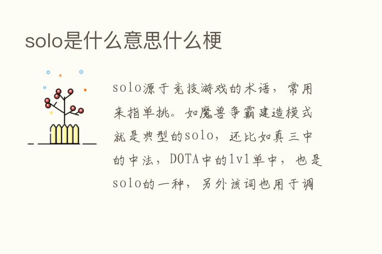 solo是什么意思什么梗