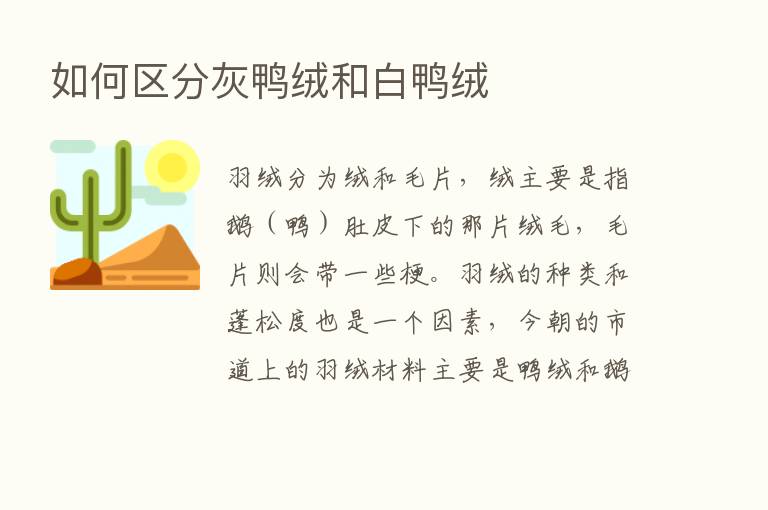 如何区分灰鸭绒和白鸭绒