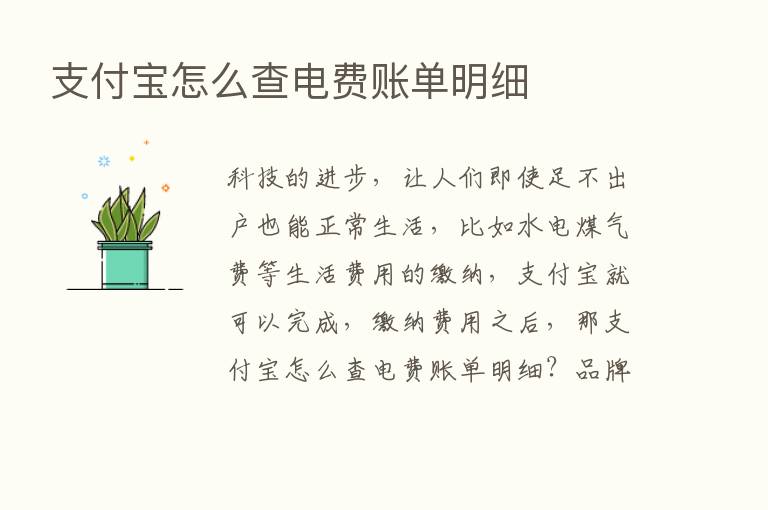 支付宝怎么查电费账单明细