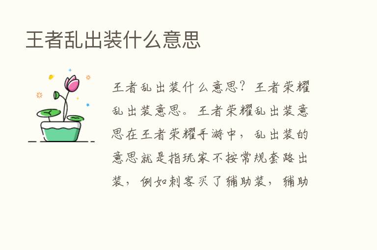 王者乱出装什么意思