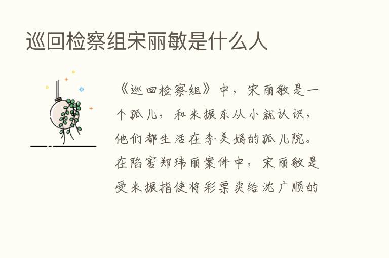 巡回检察组宋丽敏是什么人