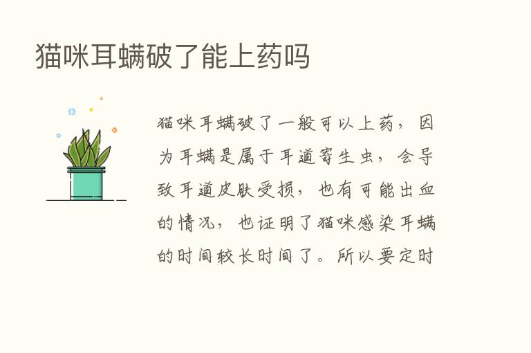 猫咪耳螨破了能上药吗