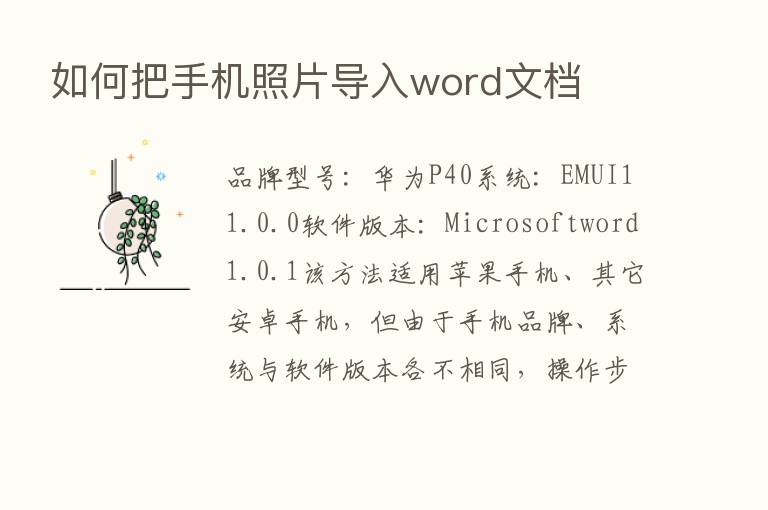 如何把手机照片导入word文档