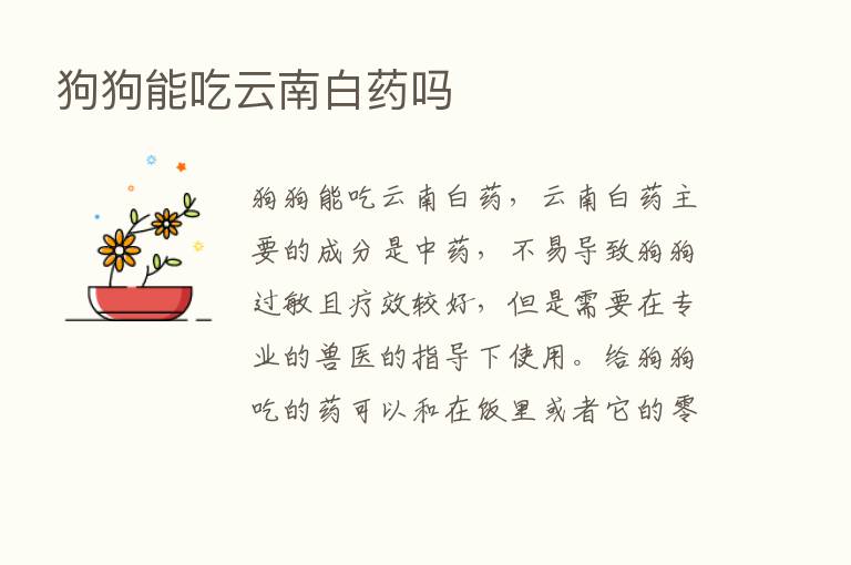 狗狗能吃云南白药吗