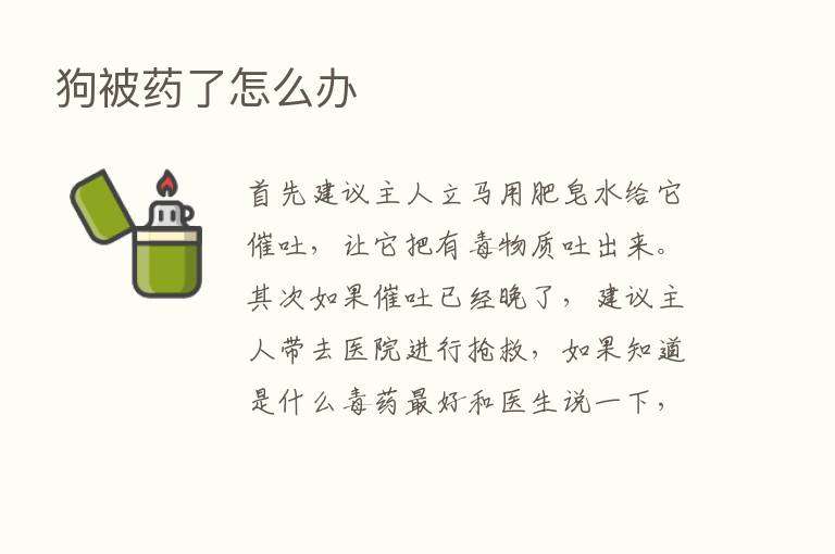 狗被药了怎么办