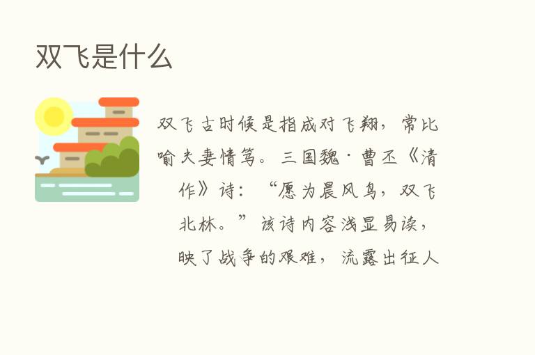 双飞是什么