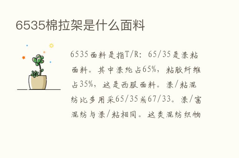 6535棉拉架是什么面料