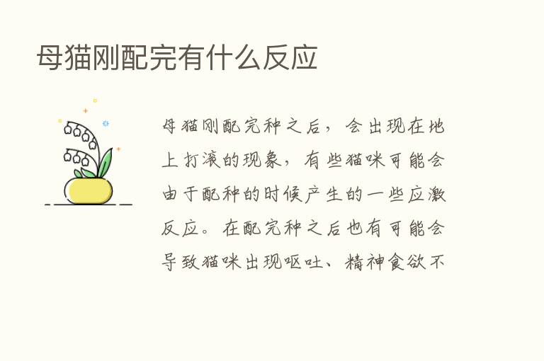 母猫刚配完有什么反应