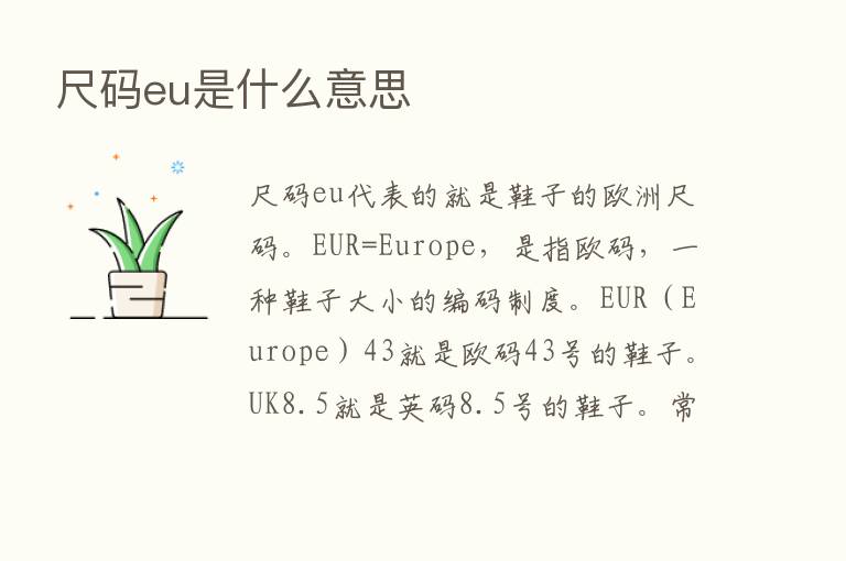 尺码eu是什么意思