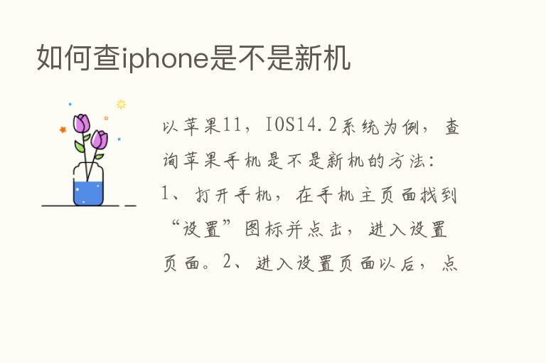 如何查iphone是不是新机