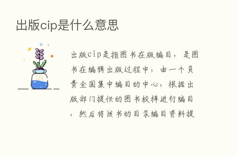 出版cip是什么意思